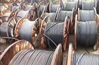 武漢回收服務全解析 資源循環利用，共建綠色城市